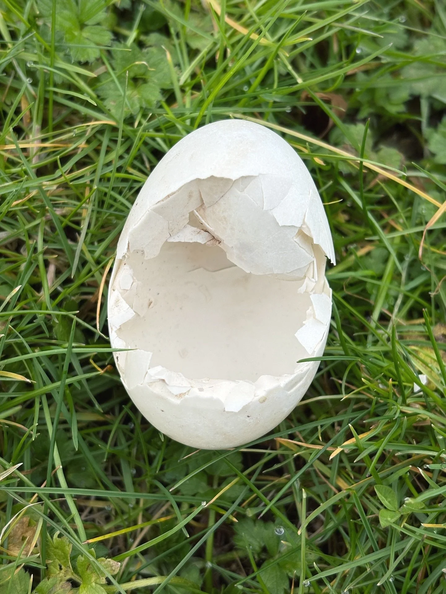 New life is sprouting all around. Wishing you much joy as this new season begins to unfurl. It&rsquo;s always such a relief to climb out of winter! I love to see people sitting on benches with eyes closed, softly smiling at the sun. Ah. I&rsquo;ve go