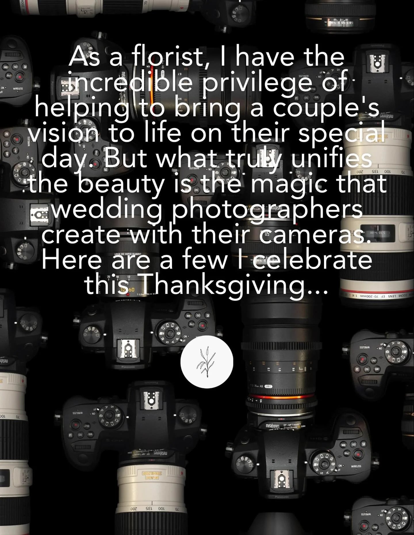 @hayesandbakerphoto 
@annemientkaphoto 
@tuccituccitucci 
@lindsayappletonphotography 
@goldwingphotography 
@caitlin_kelly_photography 
@sincerelylizphotography 
@jonadamsphoto 
@esrayphotography 
@mikesearsphotography 
@thelightandcolor
@sydneydarw