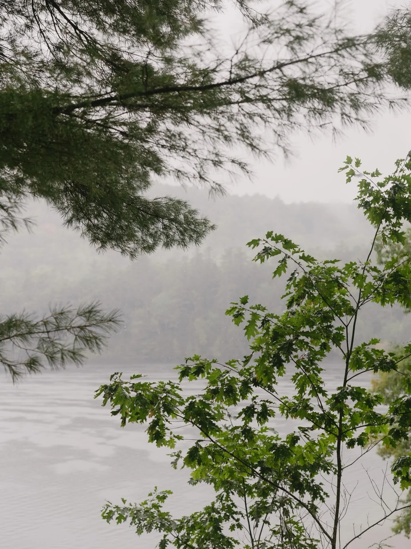 @sydneydarwinphotography captured the beauty of this misty rainy fall day for Katie and Cam - and the glowing joy between this very special couple and those who love them.

@anheirloomevent 
@sydneydarwinphotography 
@ramblefreehannah

#vermontweddin