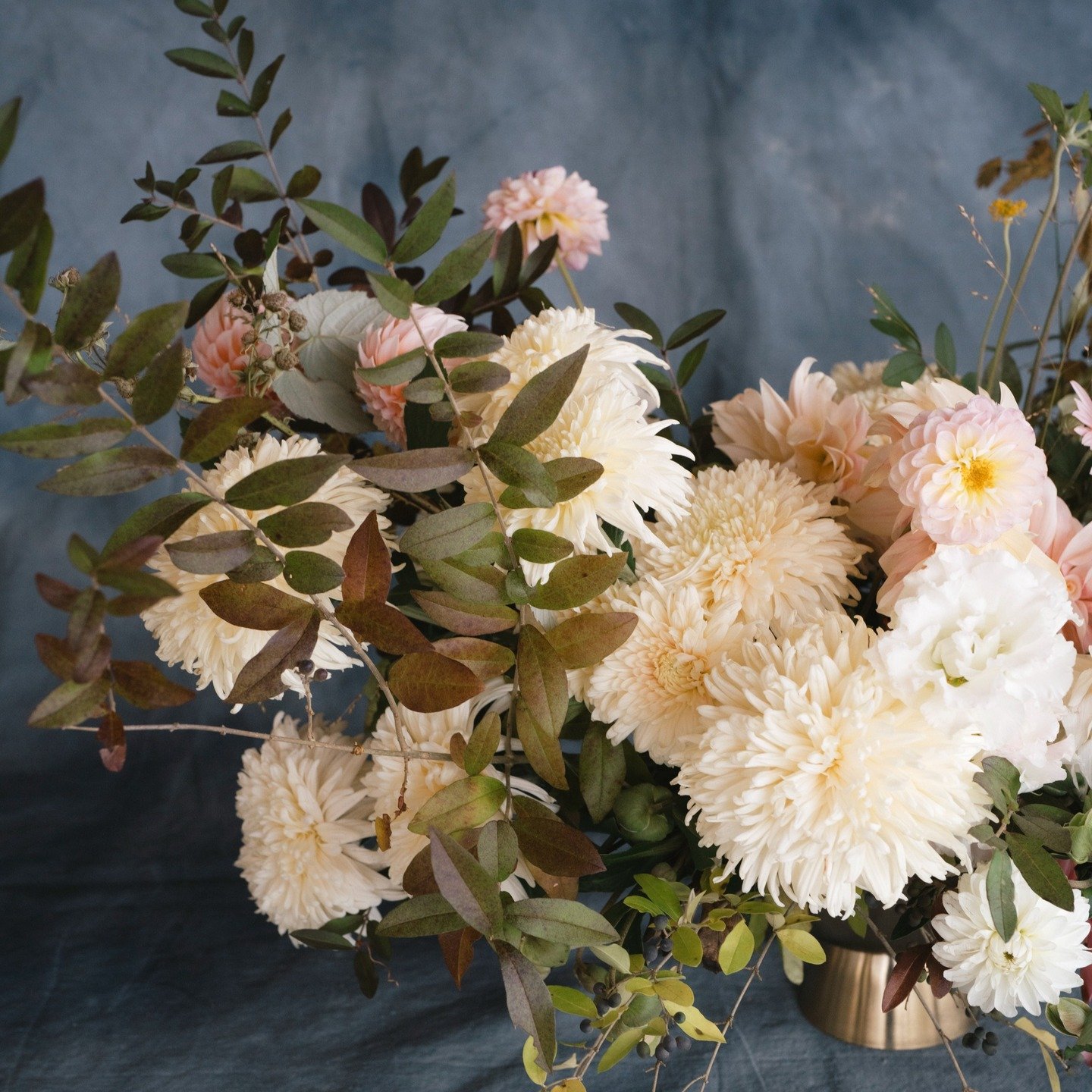 Thanks you @gaylebrooker for these beautiful photos.