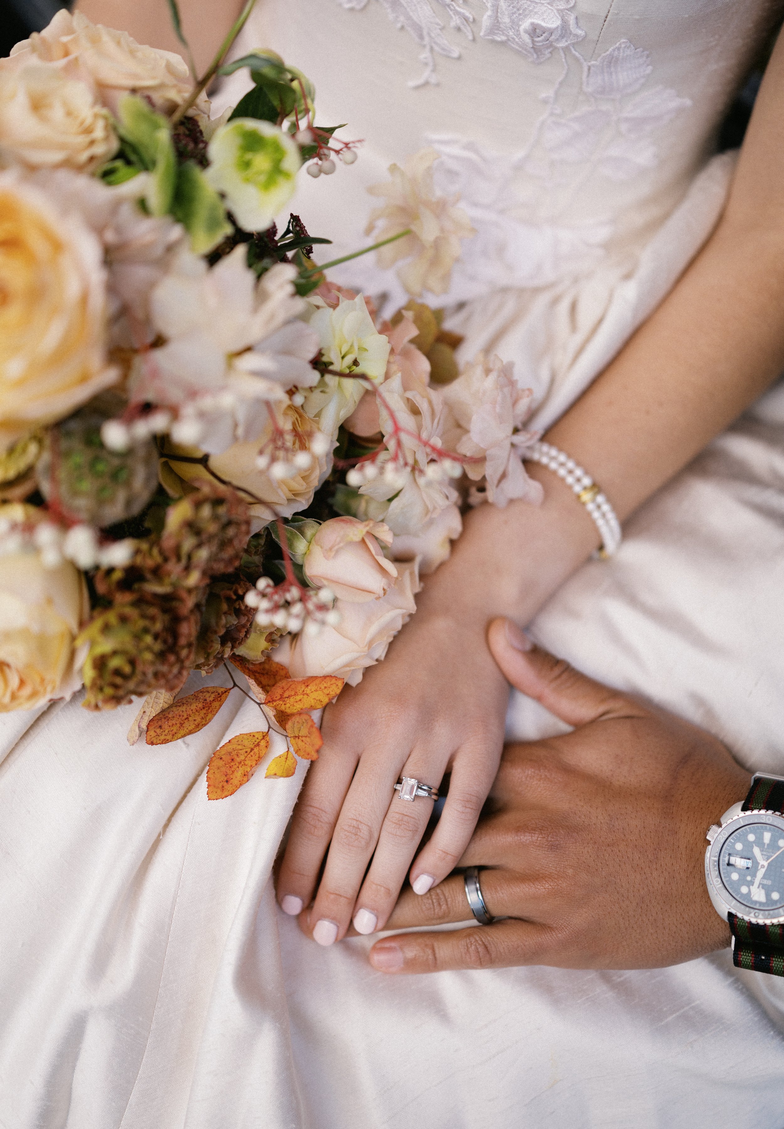 lindsayappletonphoto_SPs42.jpg