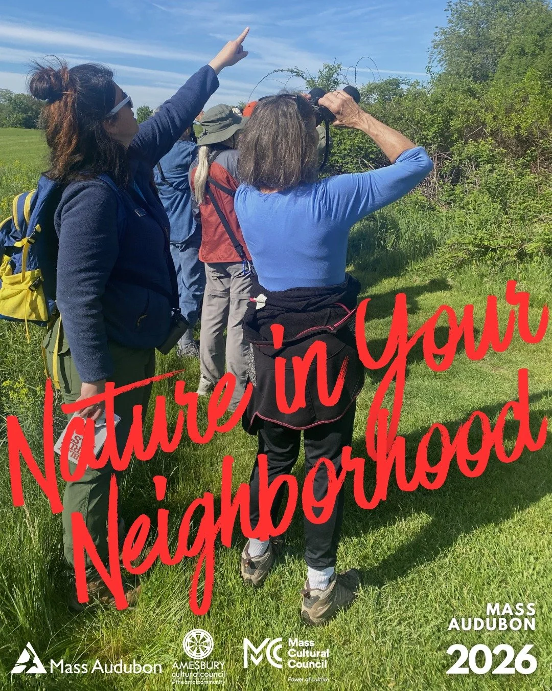 A little birdie told us that a group of bird-enthusiasts were spotted at Woodsom Farm last week 🐤  @massaudubonipswichriver  lead this lucky crew as part of Nature in Your Neighborhood: All About Birds! 

This program was funded in part by an ACC gr
