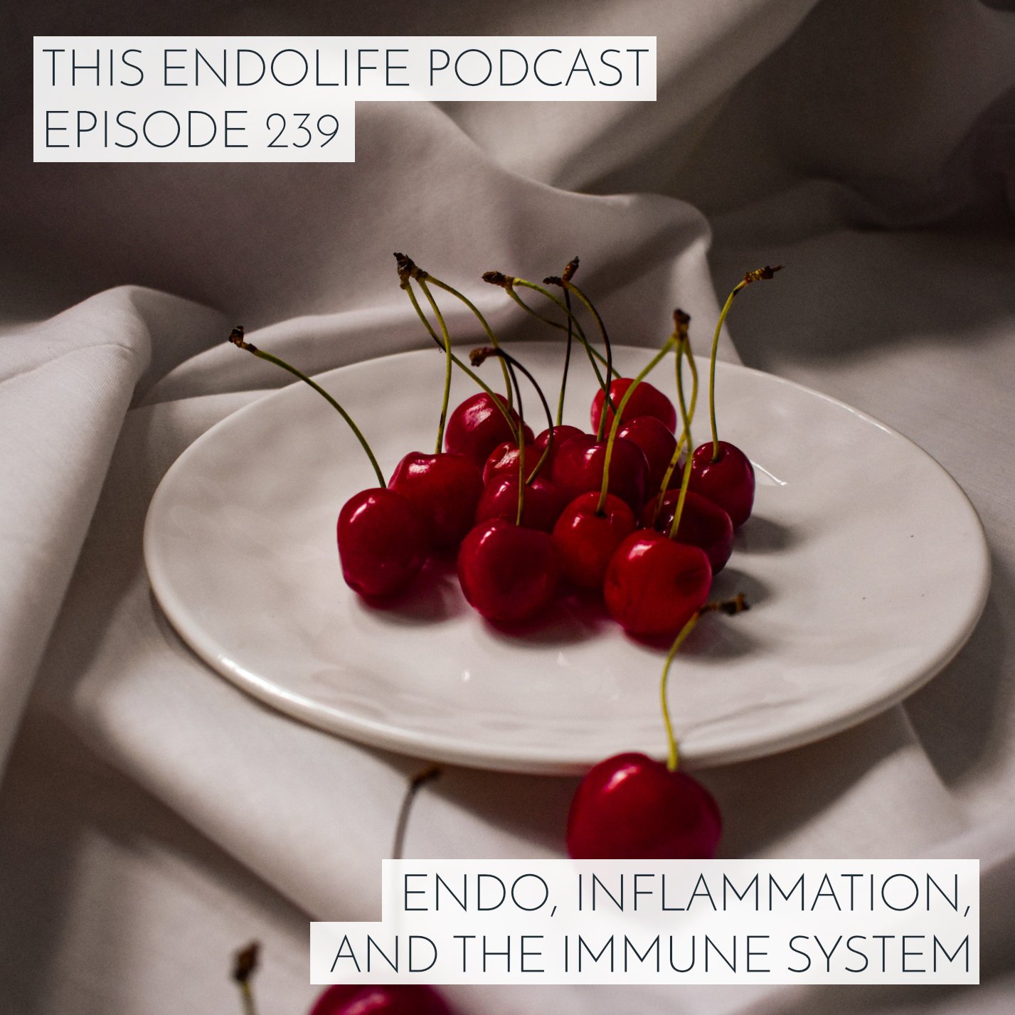 EP.239/ Endo, Inflammation and the Immune system — The Endo Belly