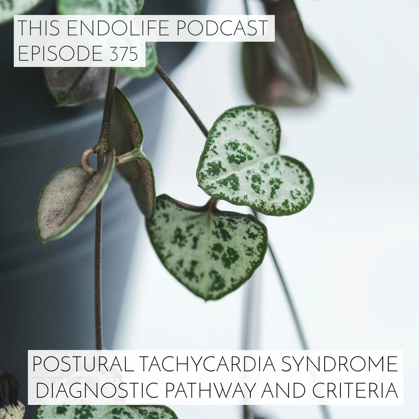 EP.375/ Postural Tachycardia Syndrome Diagnostic Pathway and Criteria