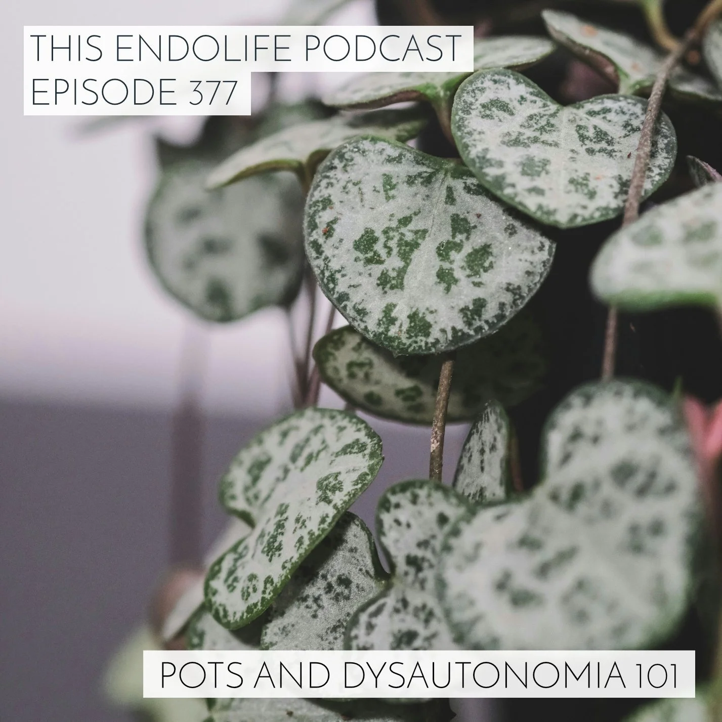 EP.377/ POTS and Dysautonomia 101