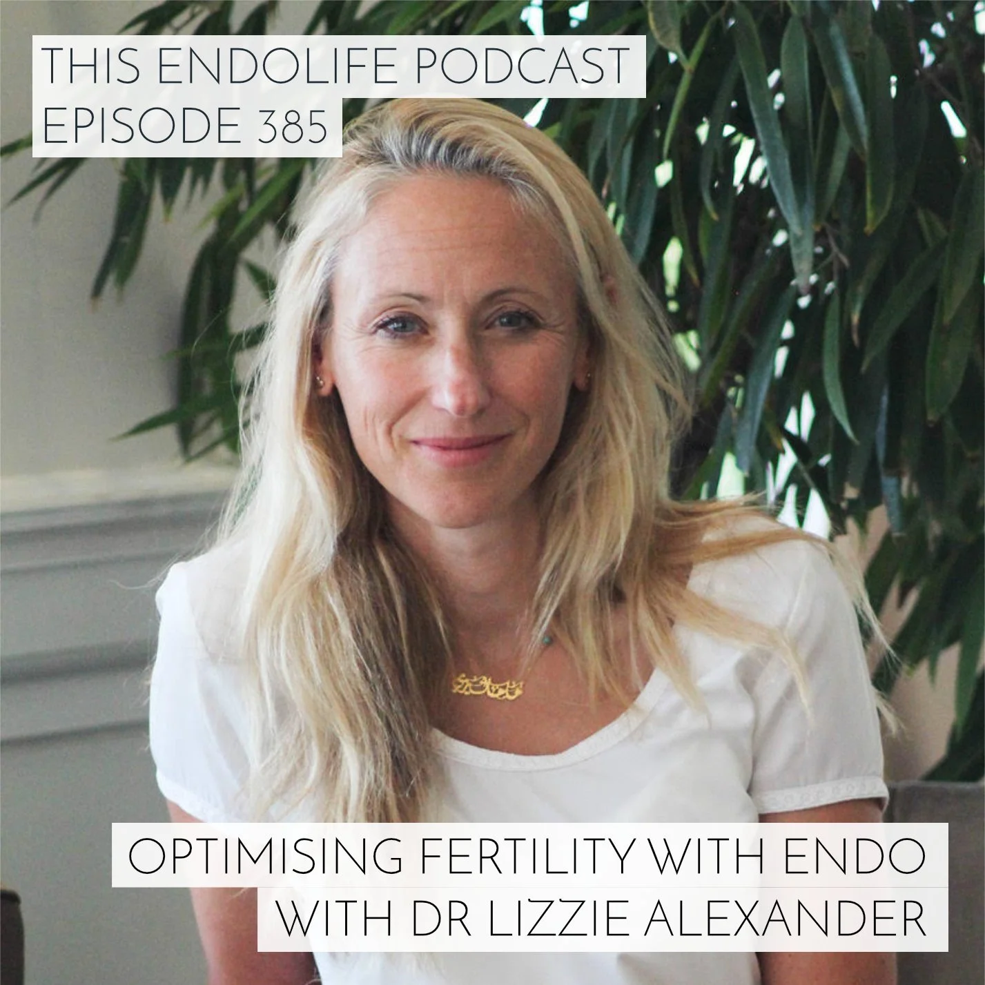 EP.385/ Optimising Fertility with Endo with Dr Lizzie Alexander