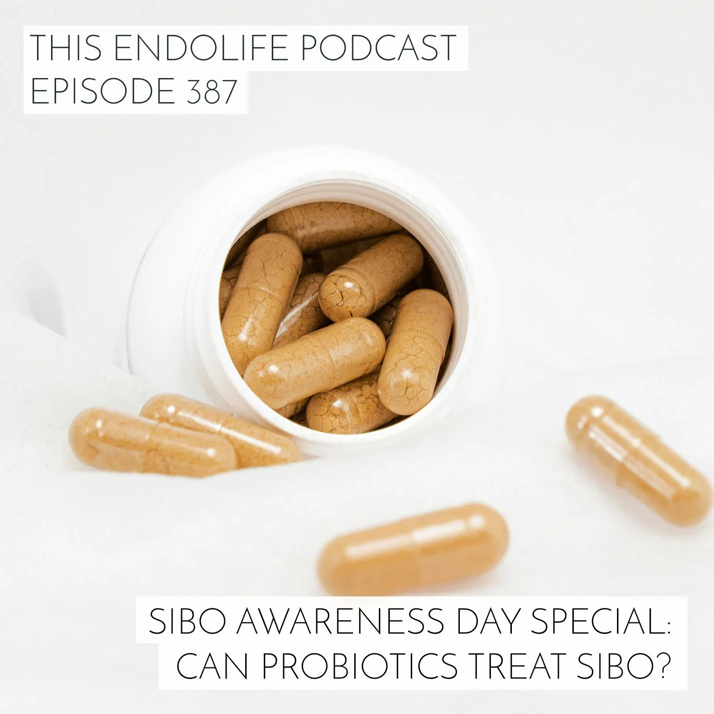 EP.387/ SIBO Awareness Day Special: Can probiotics treat SIBO?
