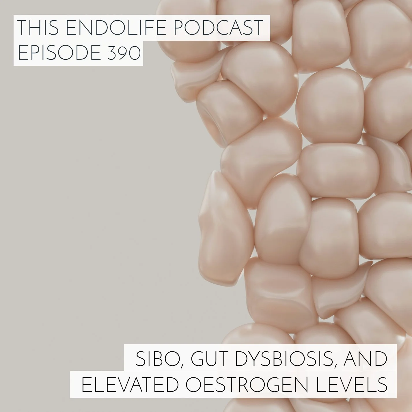 EP.390/ SIBO, Gut Dysbiosis, and Elevated Oestrogen Levels