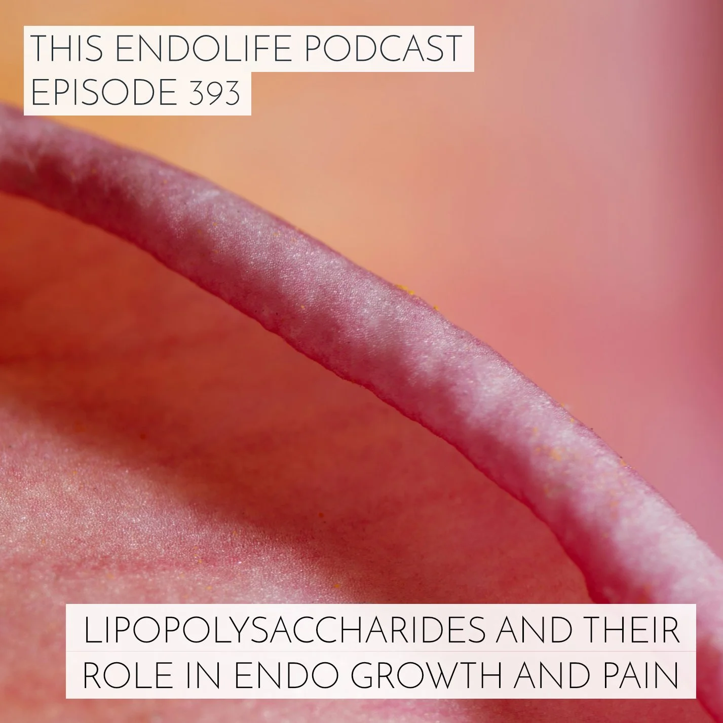 EP.393/ What Are Lipopolysaccharides and What’s Their Role in Endometriosis Growth and Pain?