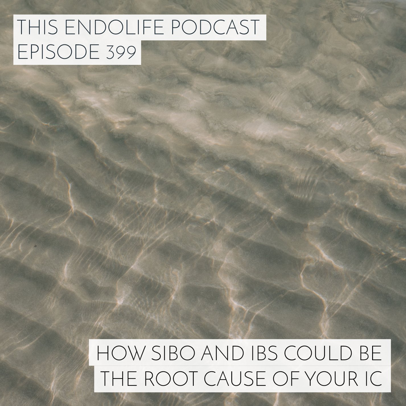 EP.399/ How SIBO and IBS Could Be the Root Cause of Your Interstitial Cystitis