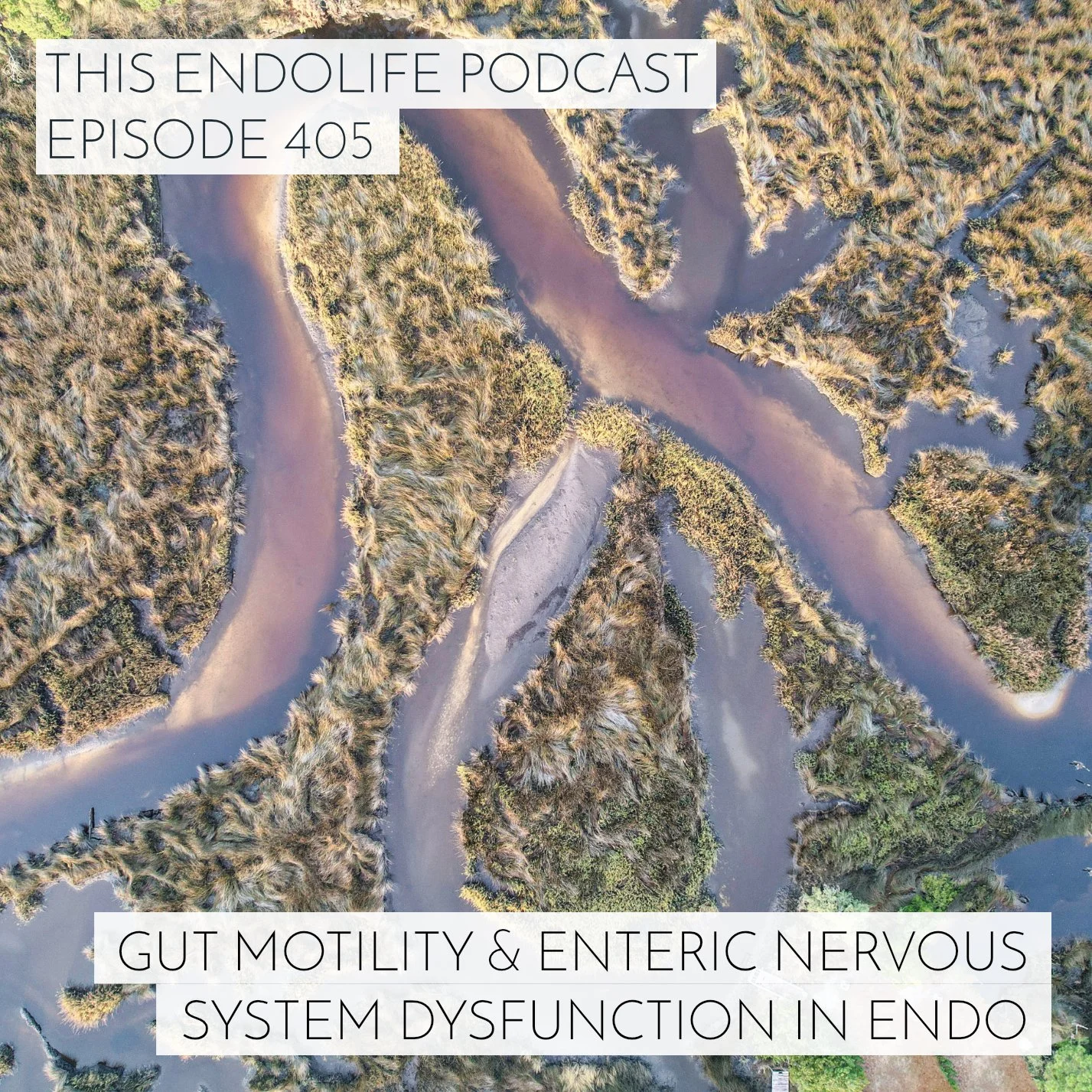 EP.405/ Gut Motility and Enteric Nervous System Dysfunction in Endo
