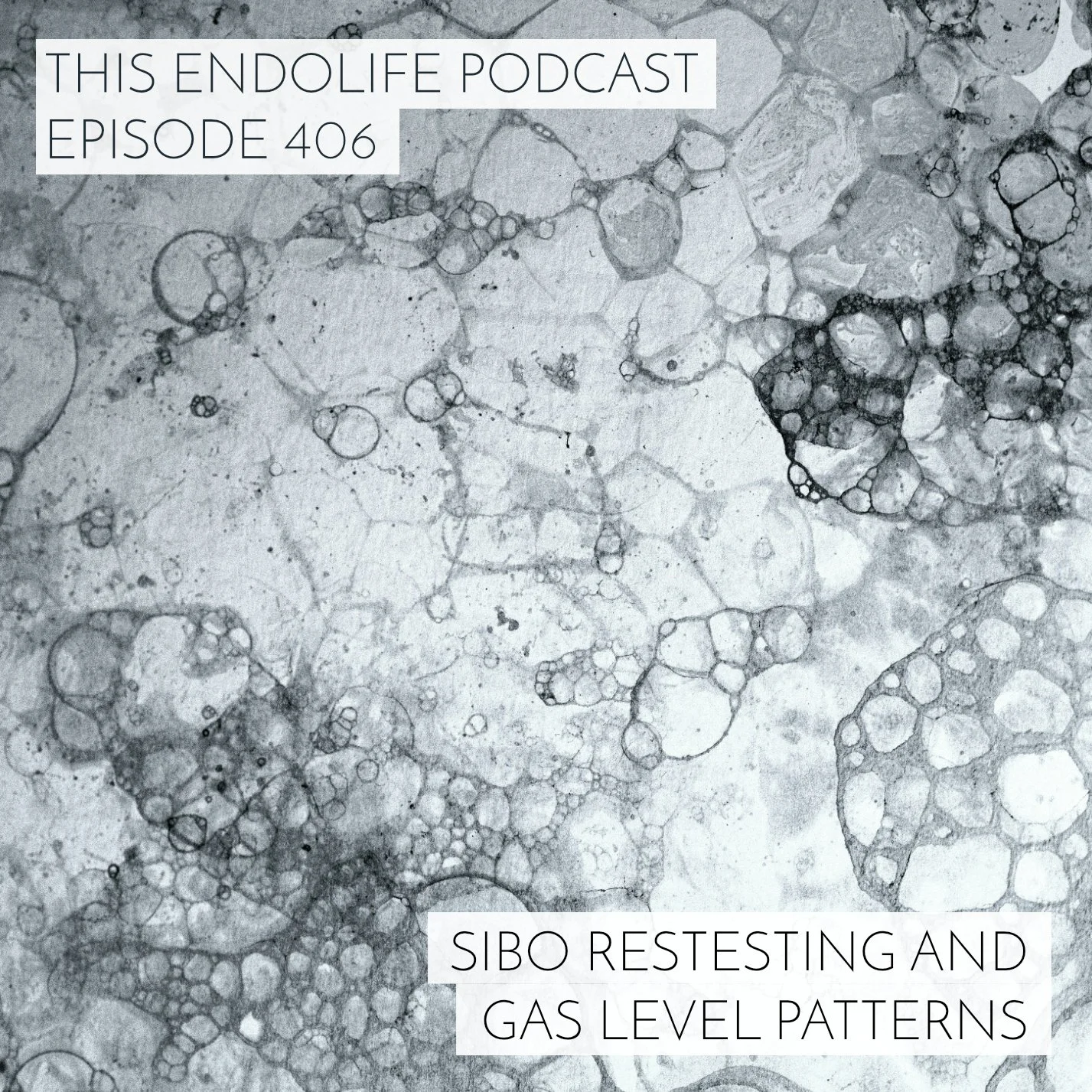 EP.406/ SIBO Retesting: Your Methane or Hydrogen Gas Levels Have Gone Up - Here’s Why That Might Be a Good Sign