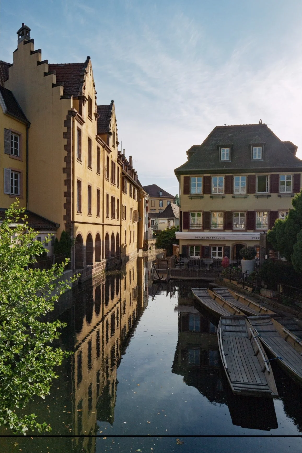Colmar-Site - 05.jpg