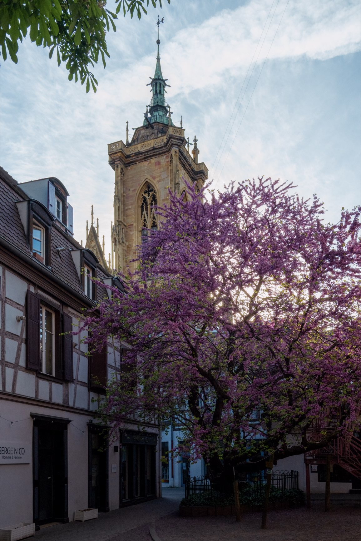 Colmar-Site - 13.jpg