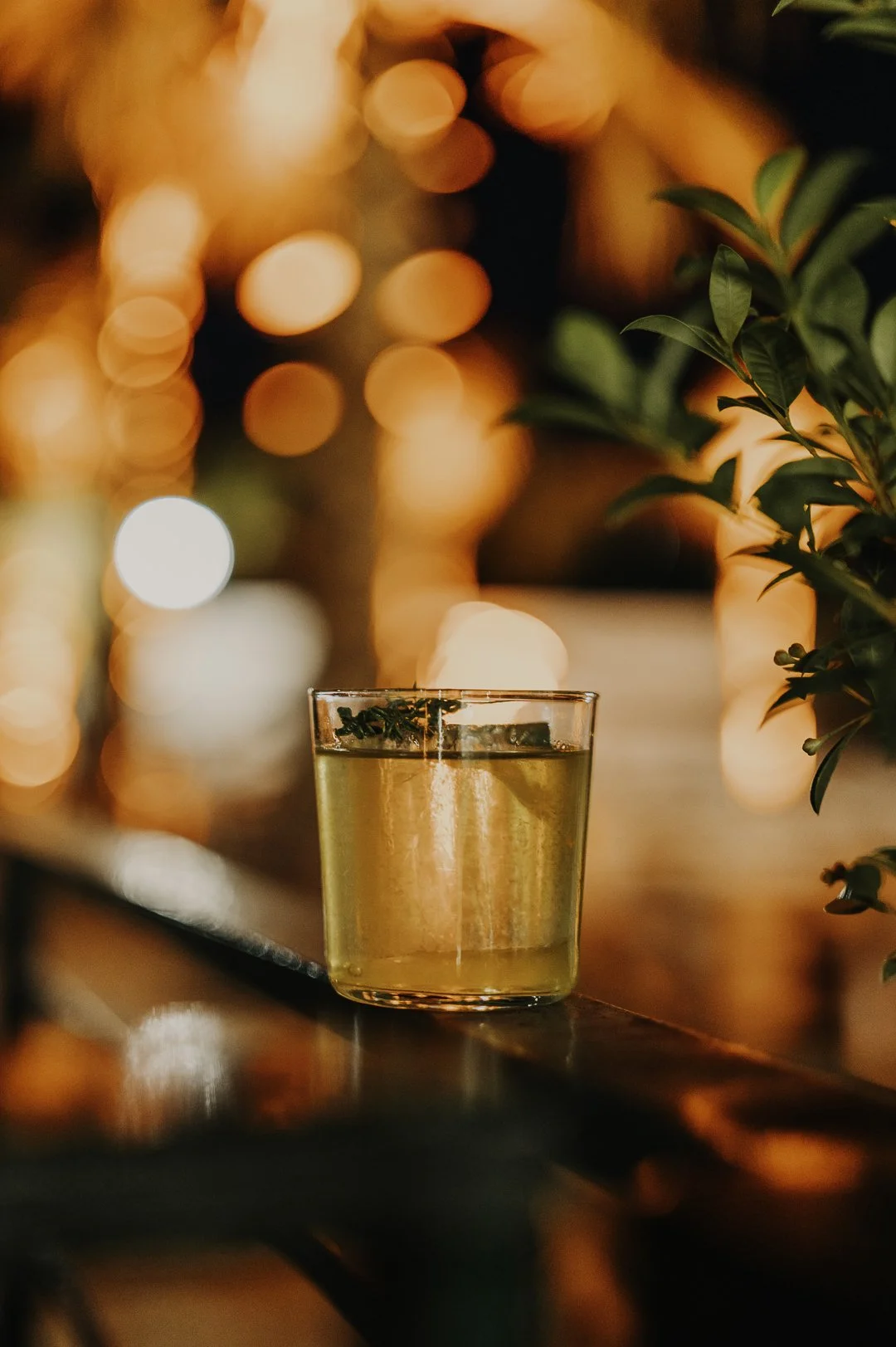 Gaaarden week 29 2025 (c) Merette Uiterwaal-79.jpg