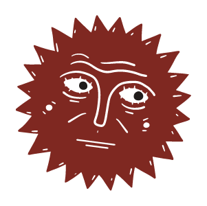 The sun