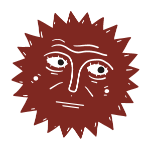 The Sun