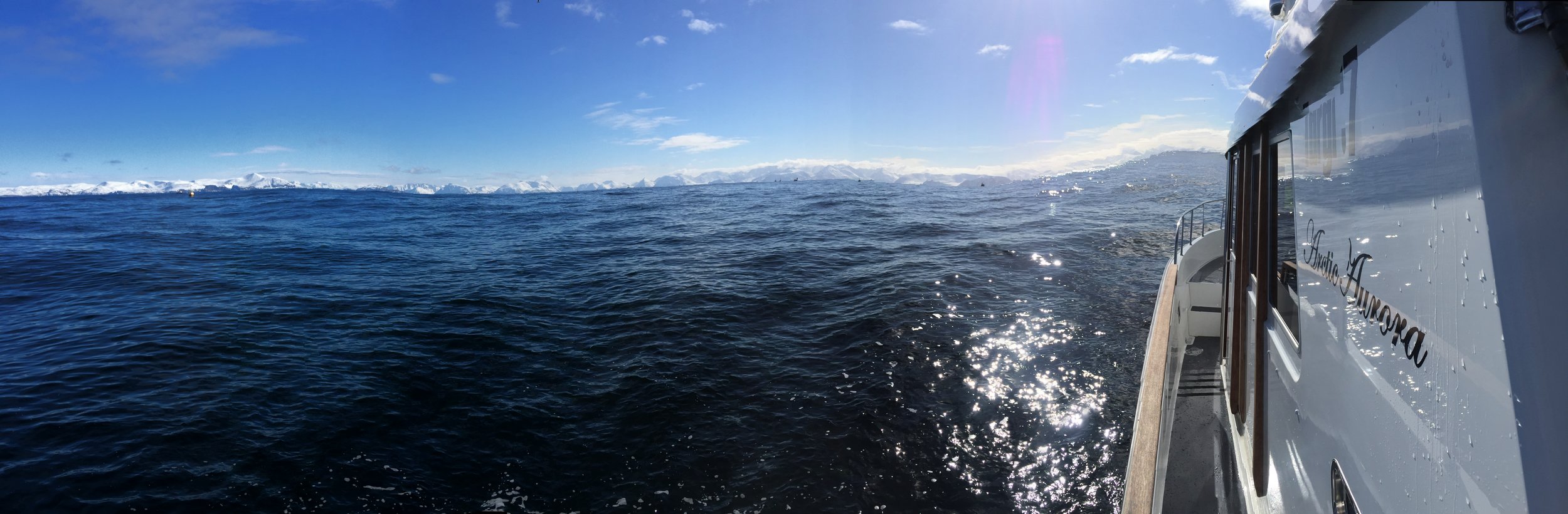 artic aurora utenfor sørøya.jpeg