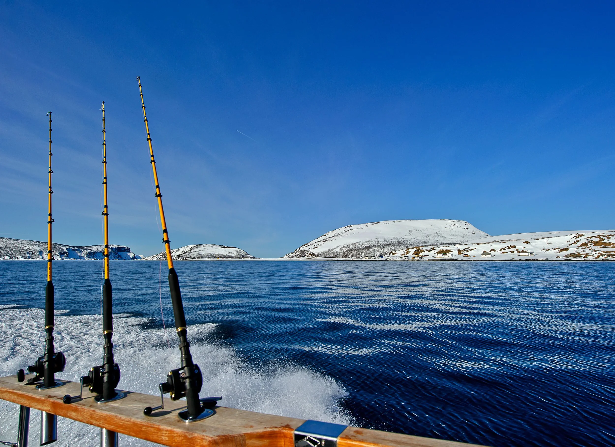 fish it Images High Quality Grahic Deep sea fishing package | Book Your Adventure Today — Lyngen Experience