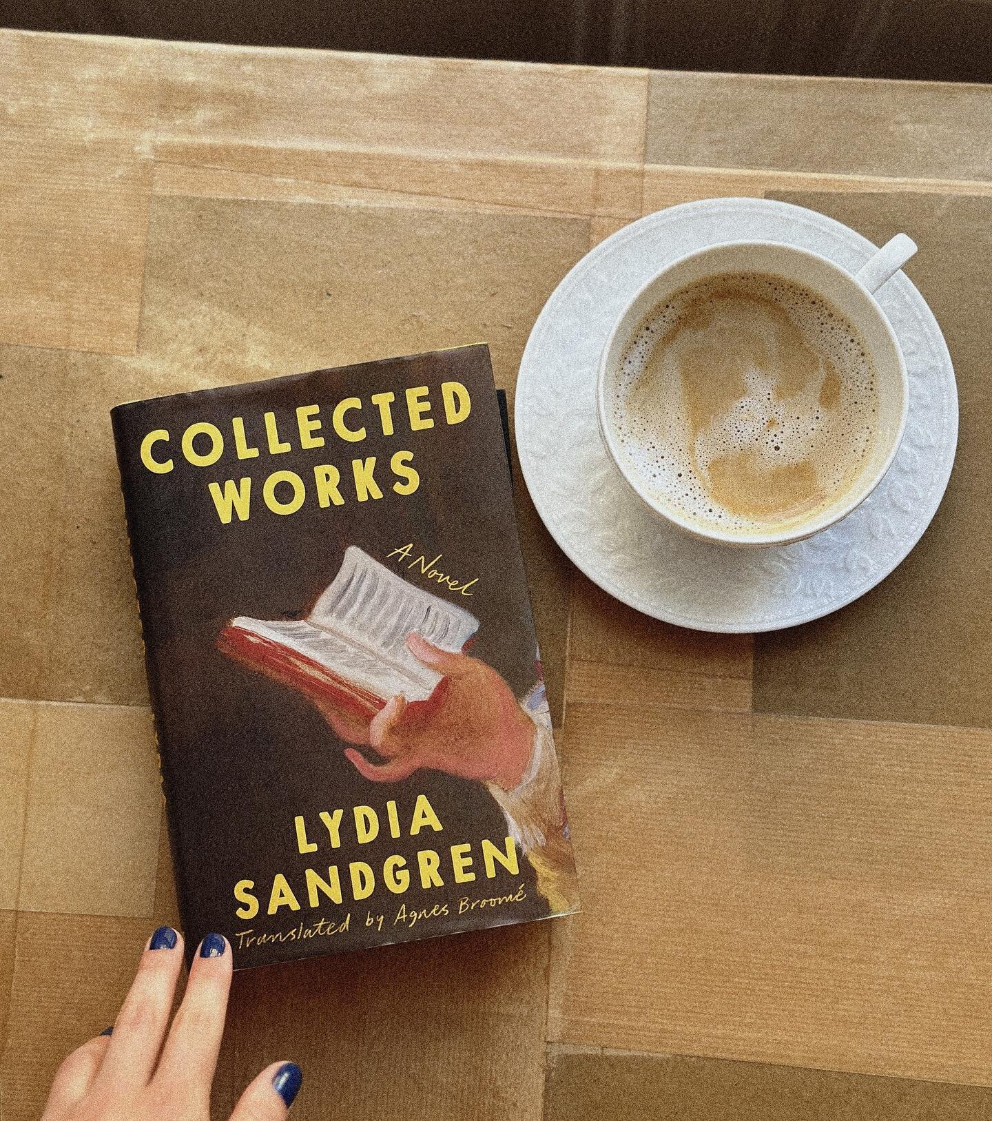 I fear no amount of words can do this novel the justice it deserves. I was floored from the first page to the last and whizzed through all almost 700 pages, pining for more. Lydia Sandgreen spent ten years of her life writing this debut novel and it 