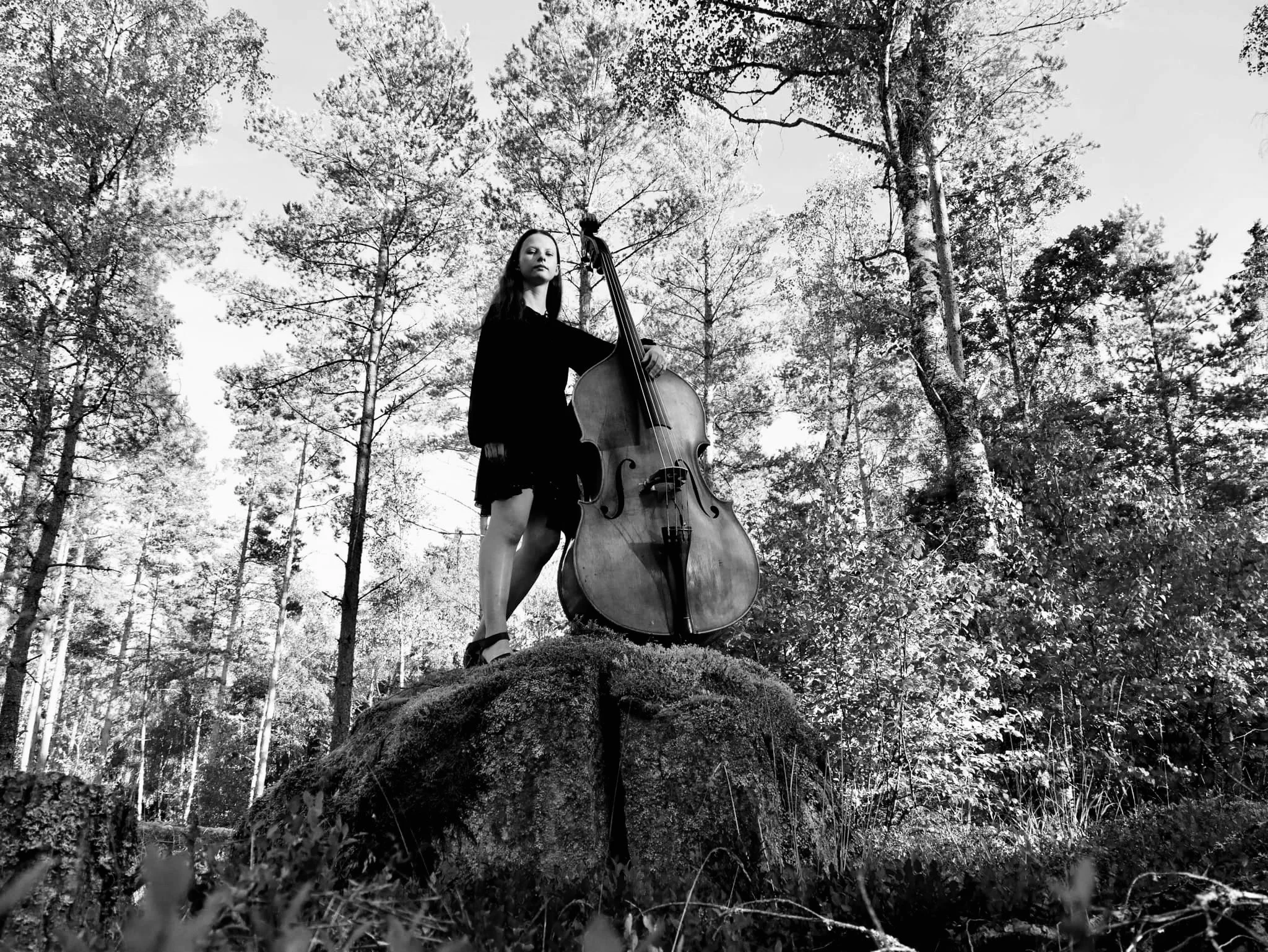 ingrid schyborger quartet