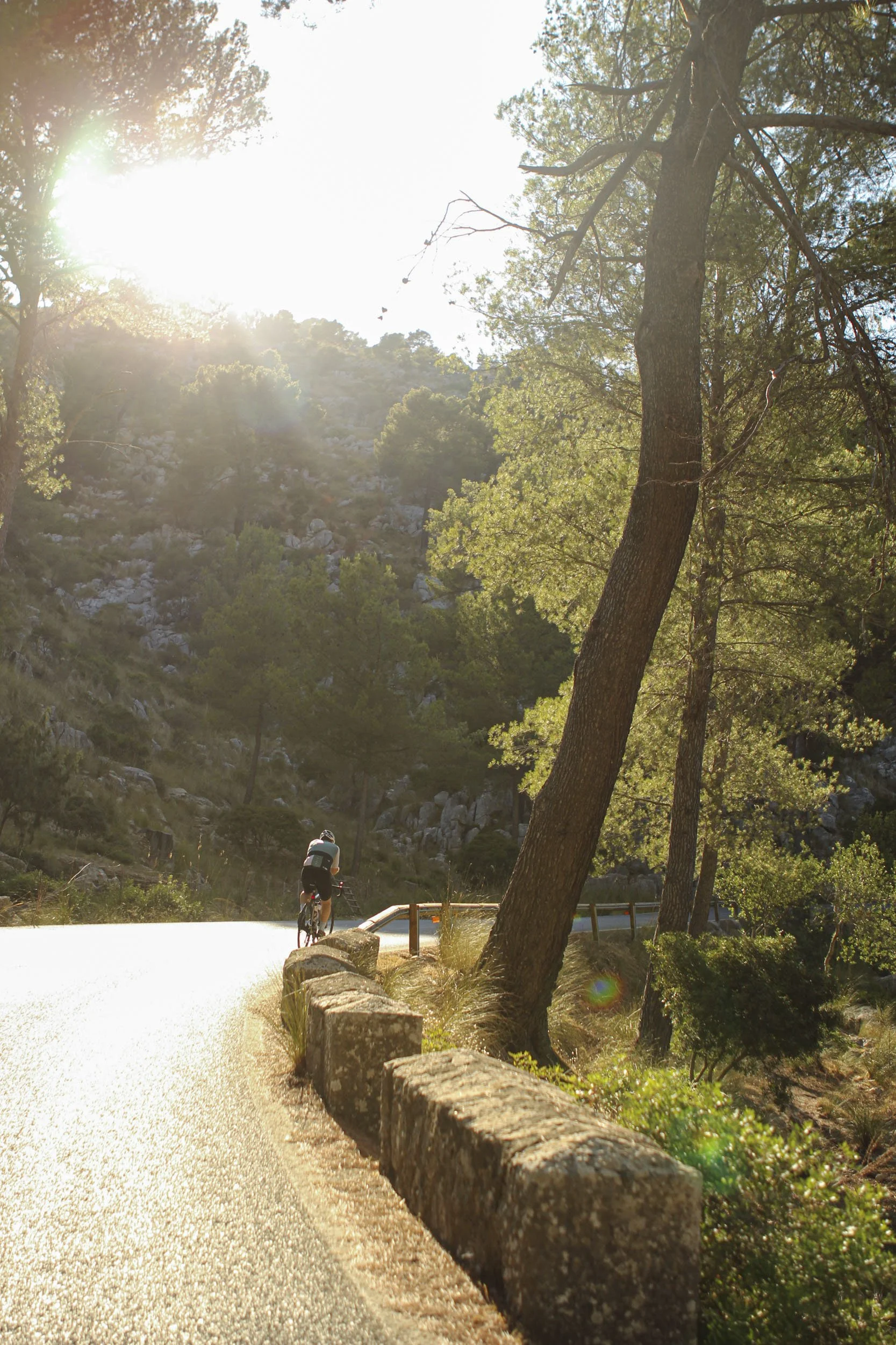 IMG_9071-1 (dragged).jpg