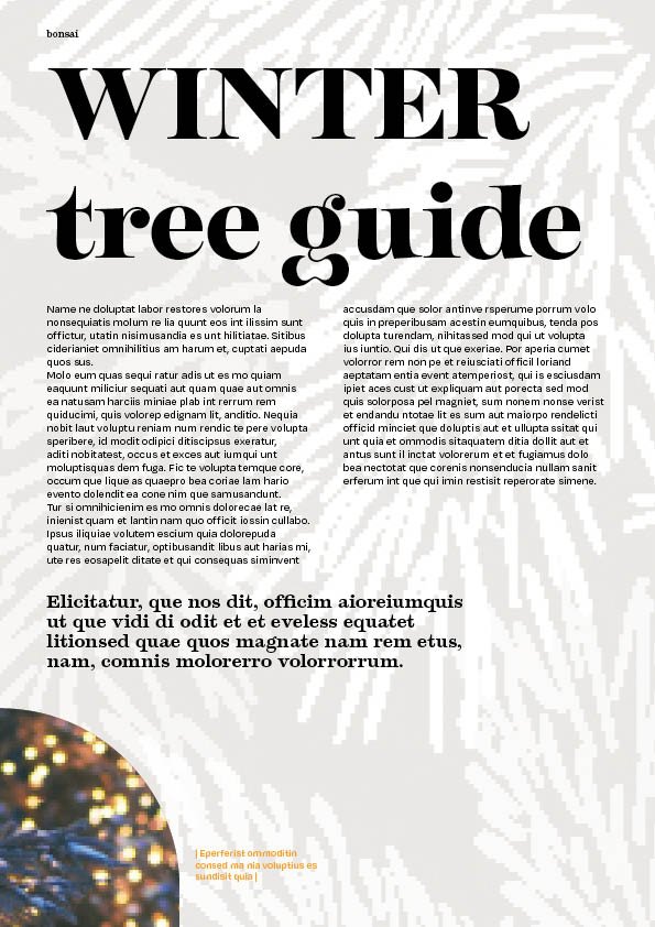 Magazine8.jpg