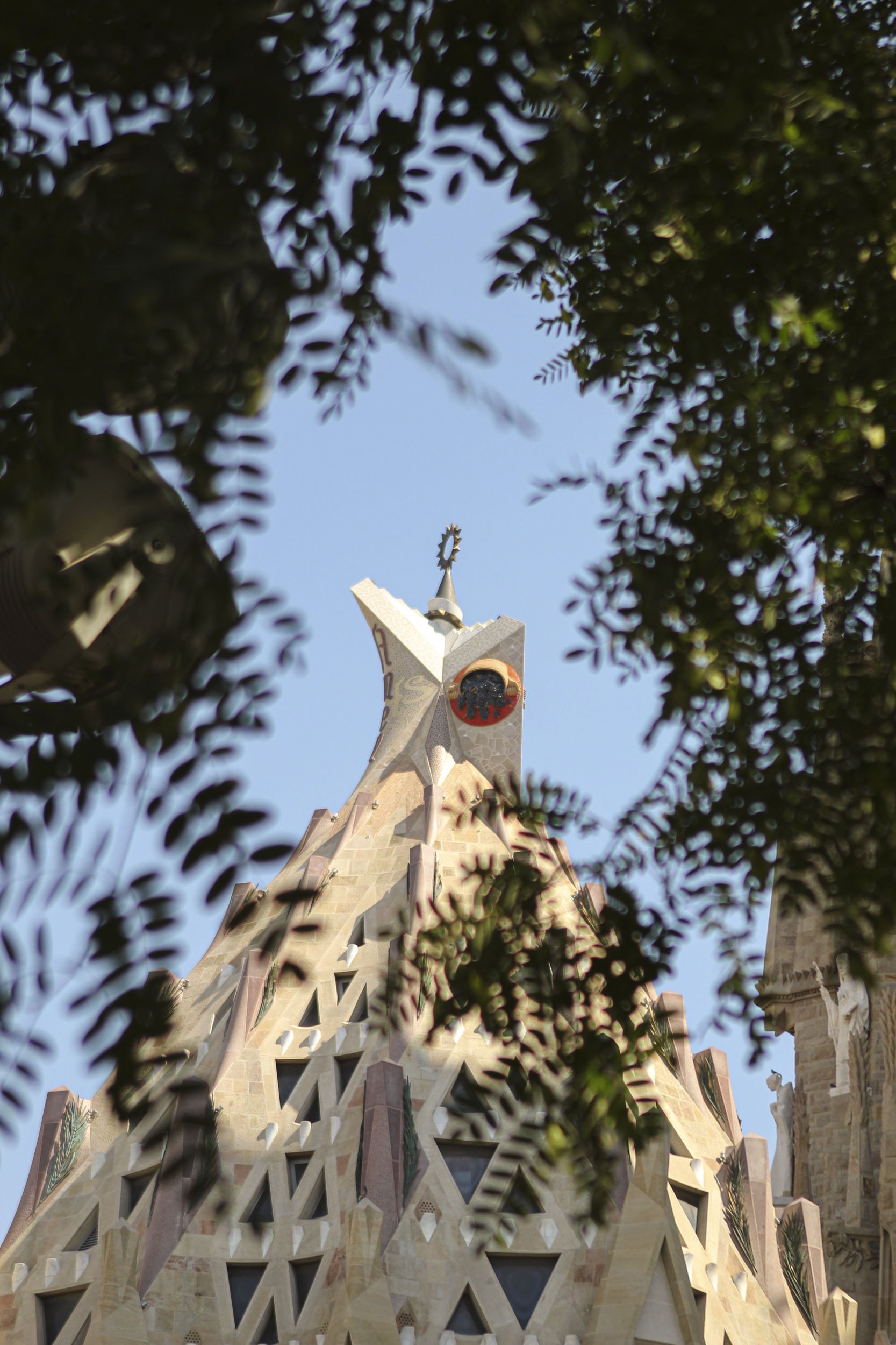 IMG_9788-1 (dragged).jpg