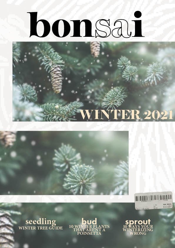 Magazine.jpg