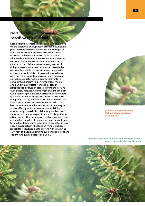 Magazine11.jpg