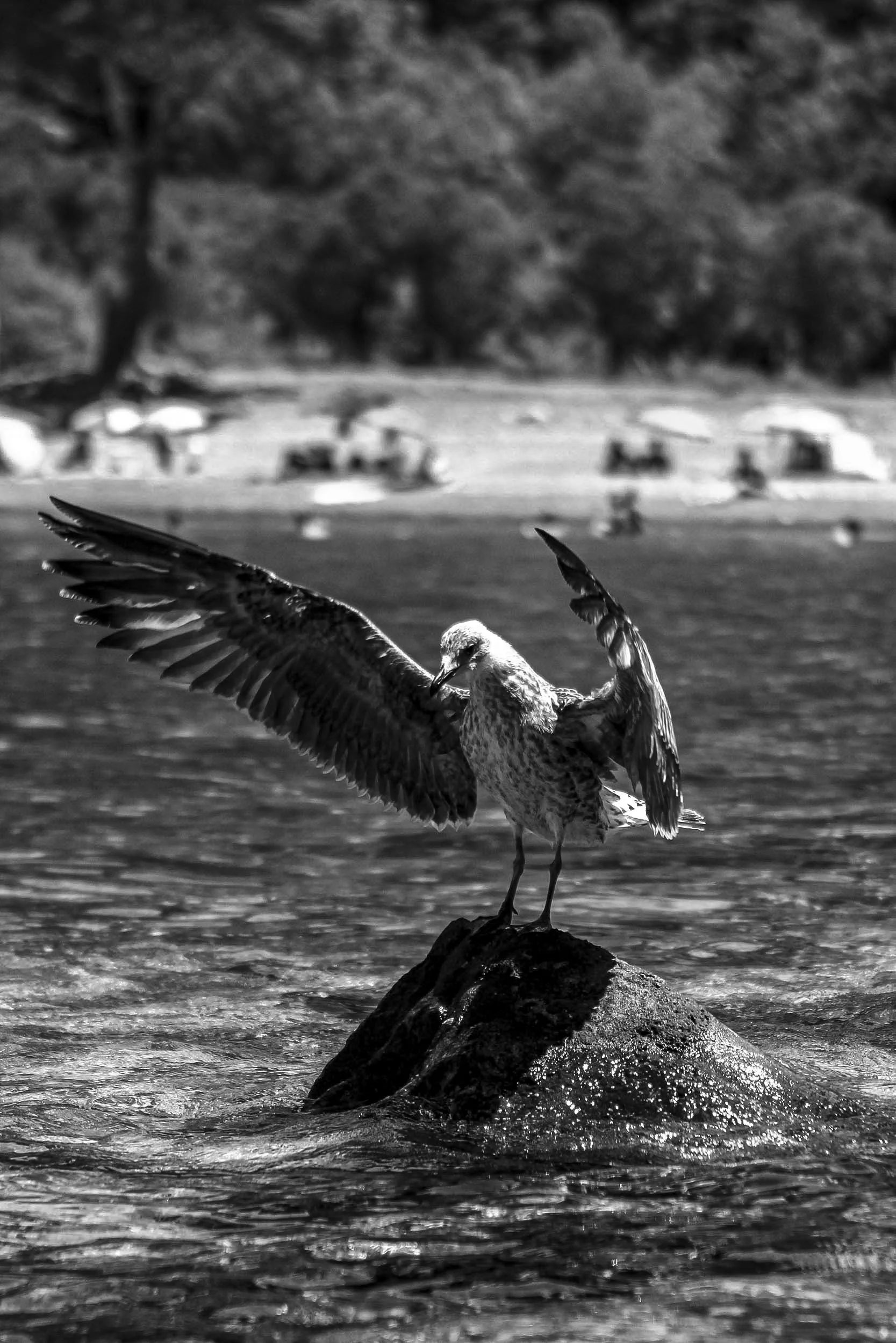 IMG_9390-1 (dragged) copy.jpg