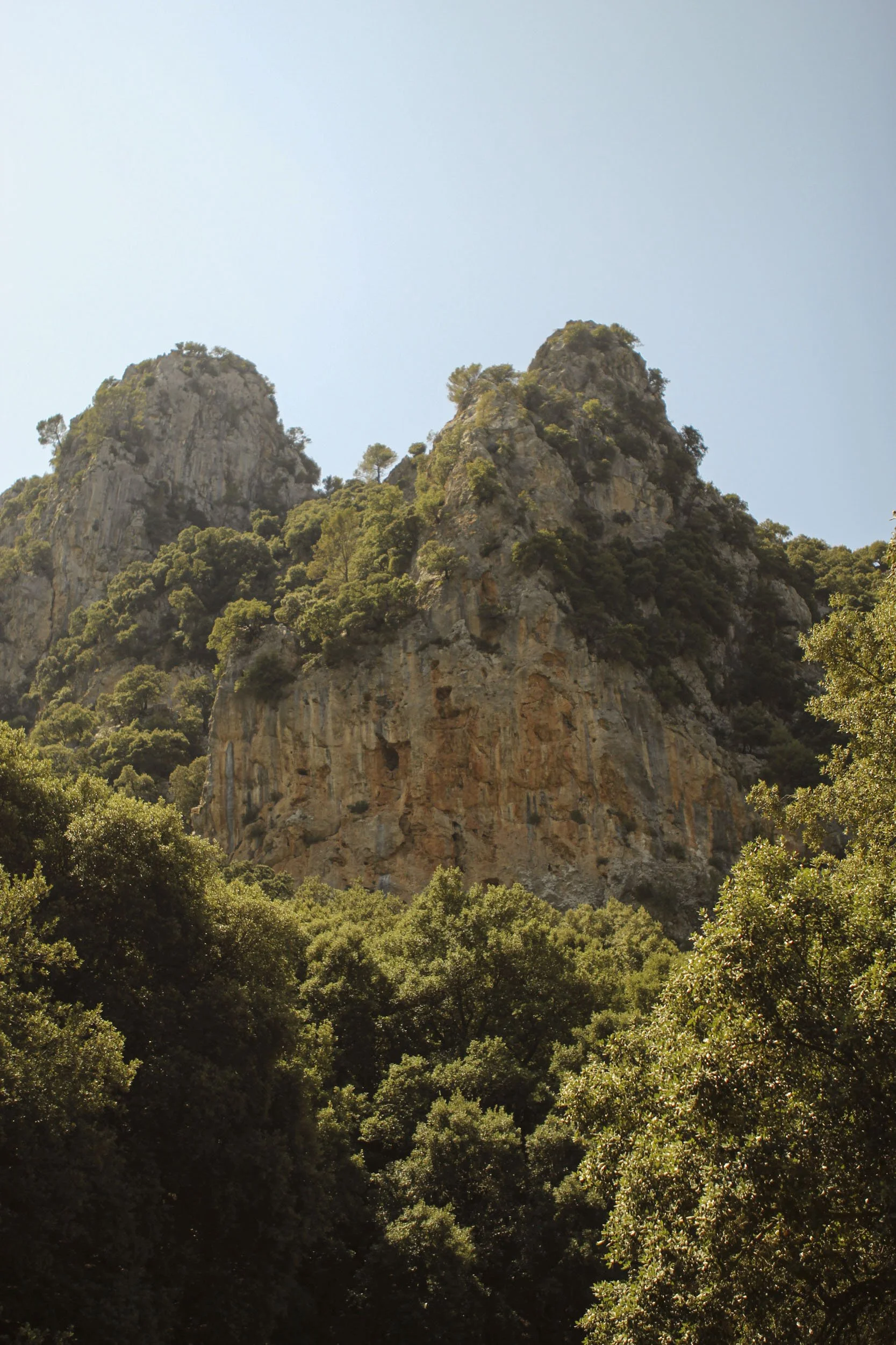 IMG_9347-1 (dragged).jpg