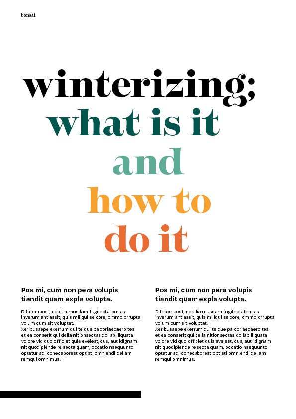 Magazine4.jpg