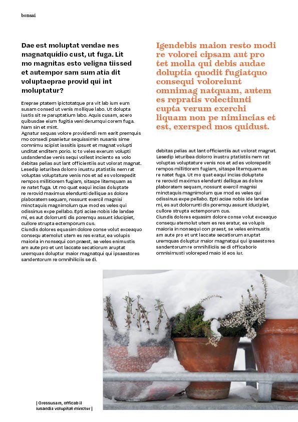 Magazine6.jpg