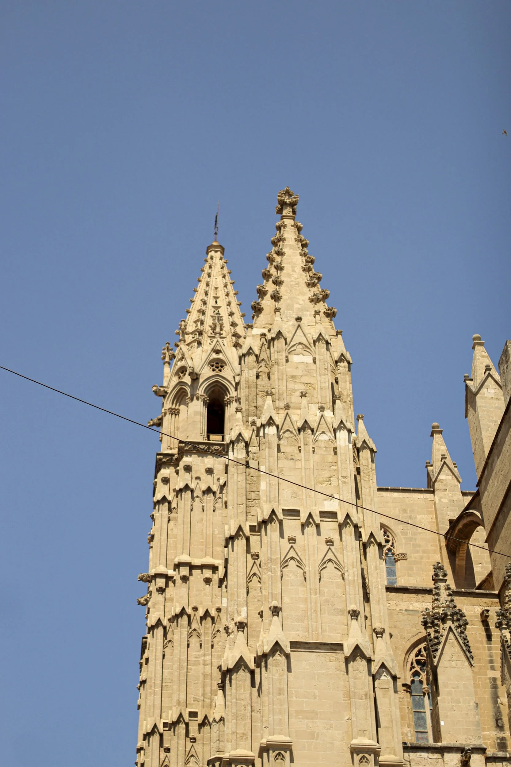 IMG_8992-1 (dragged).jpg