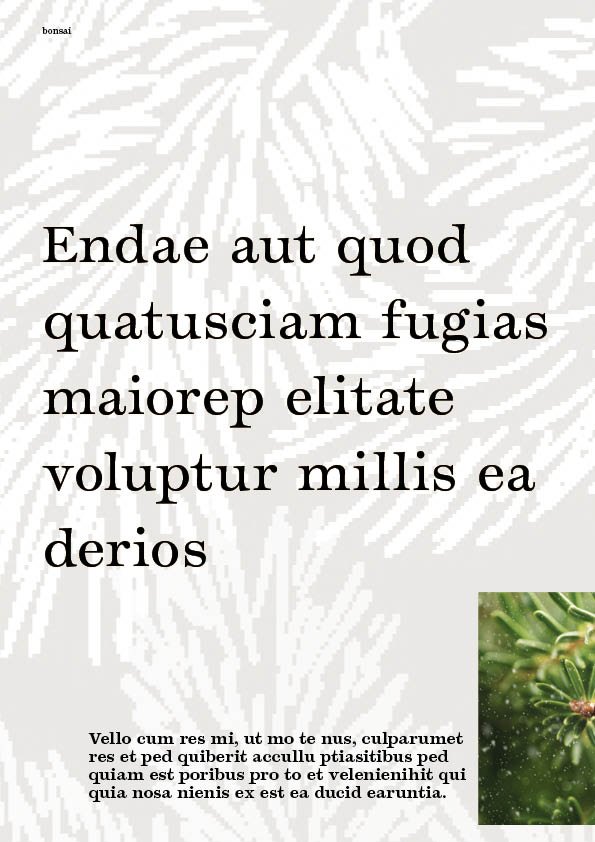 Magazine10.jpg