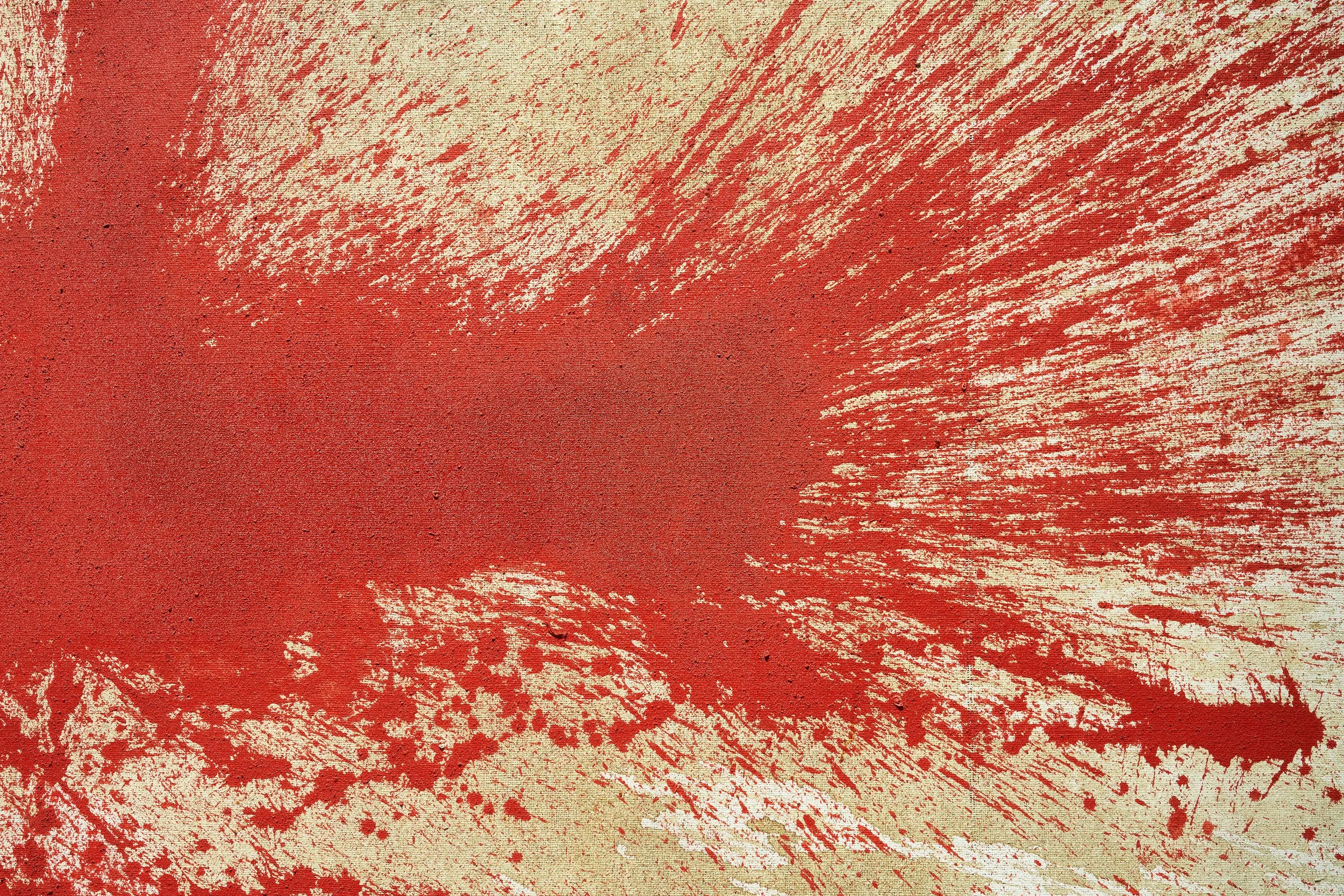 Hermann Nitsch’s 20th painting action during the 59th Venice Biennale. Photo credit © by Marcin Gierat, Zuecca Projects, courtesy Helmut Essl