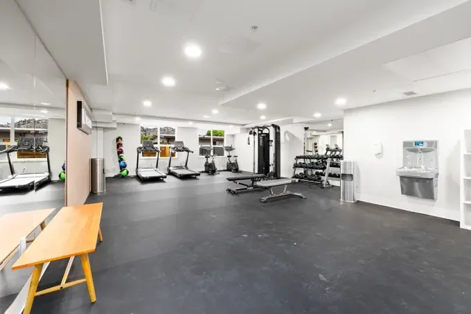 Gym.webp