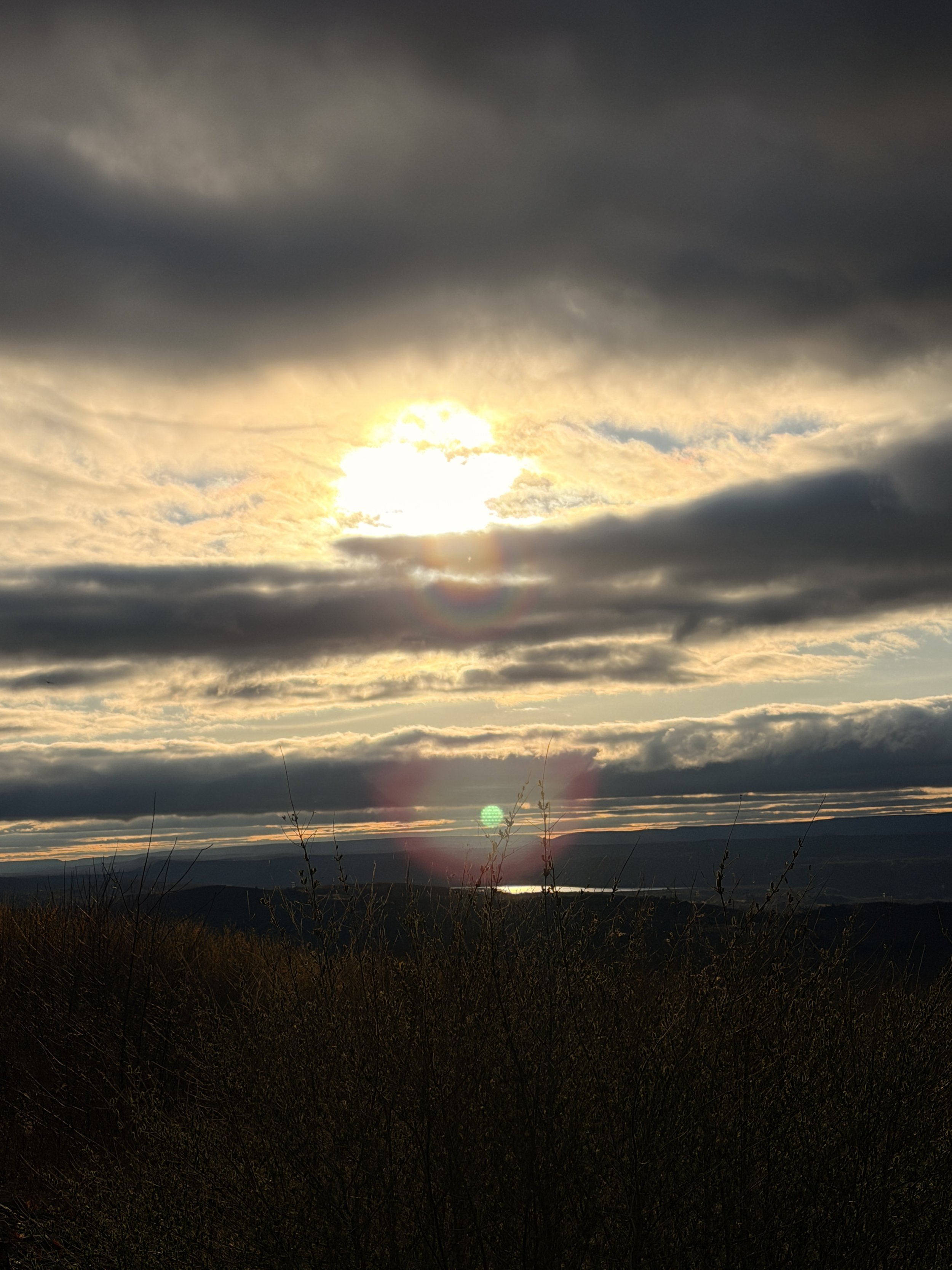 IMG_3421.jpeg