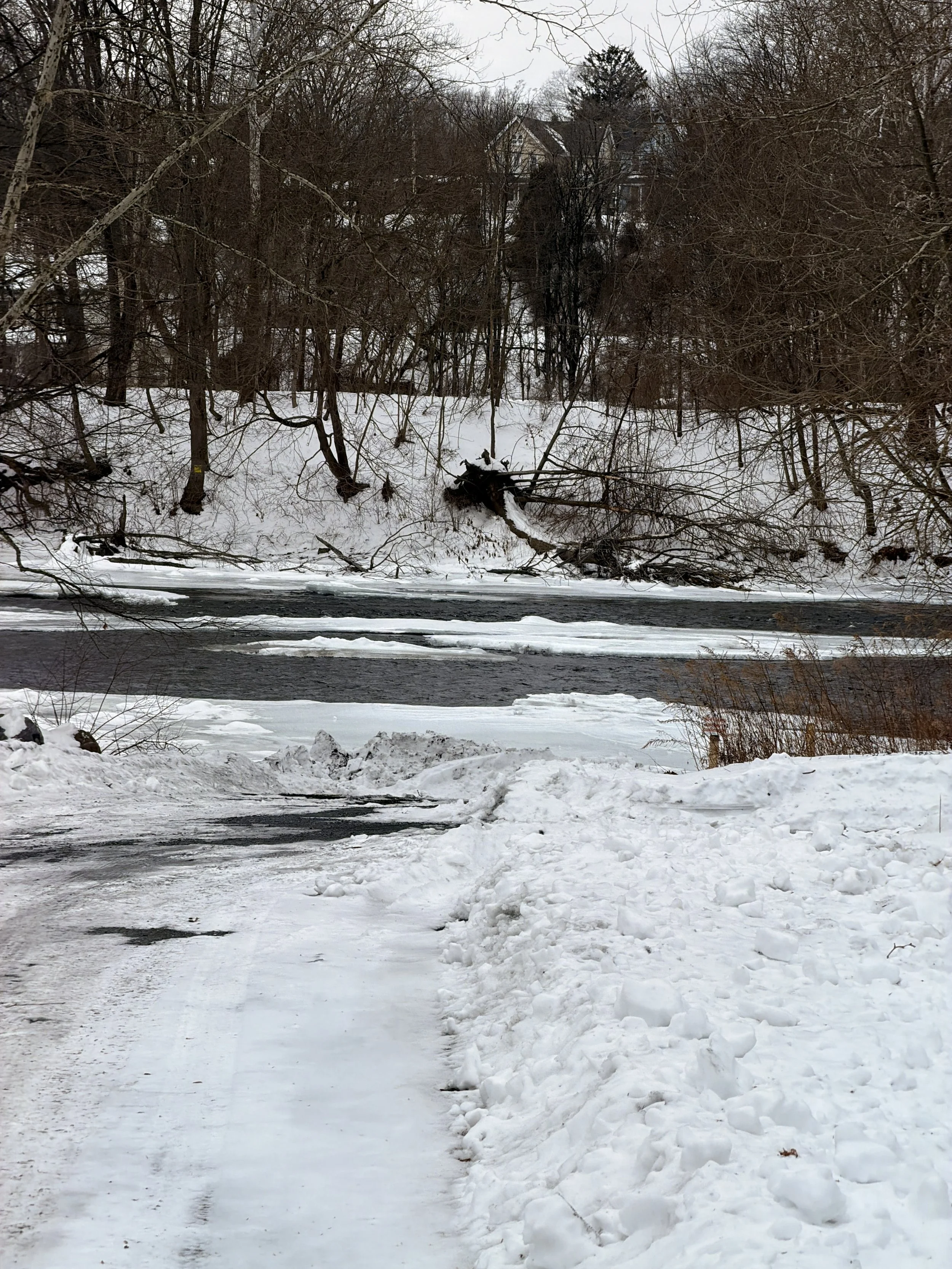 Sitting by the water