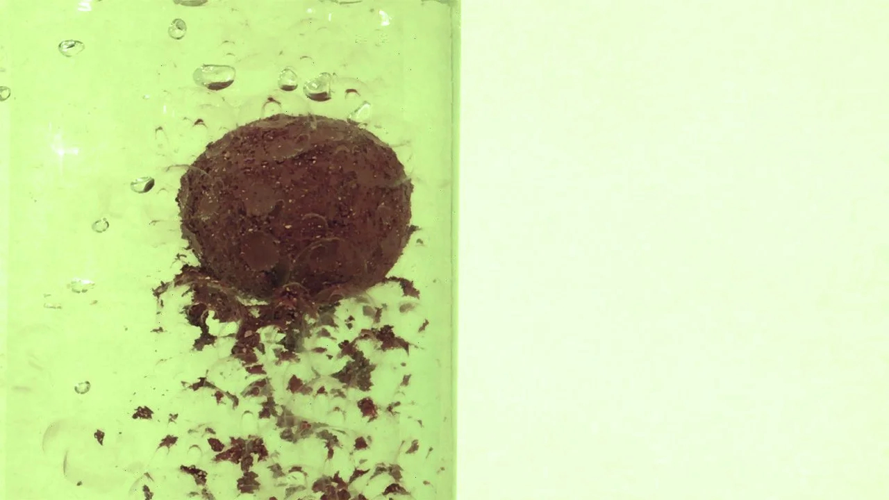 Disolve on green still image4 copy.jpg