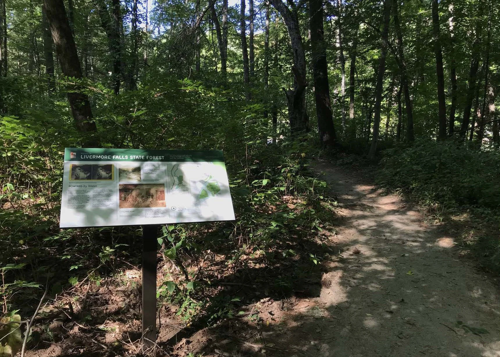 Livermore Falls State Forest Interpretive Signage — Space Haus