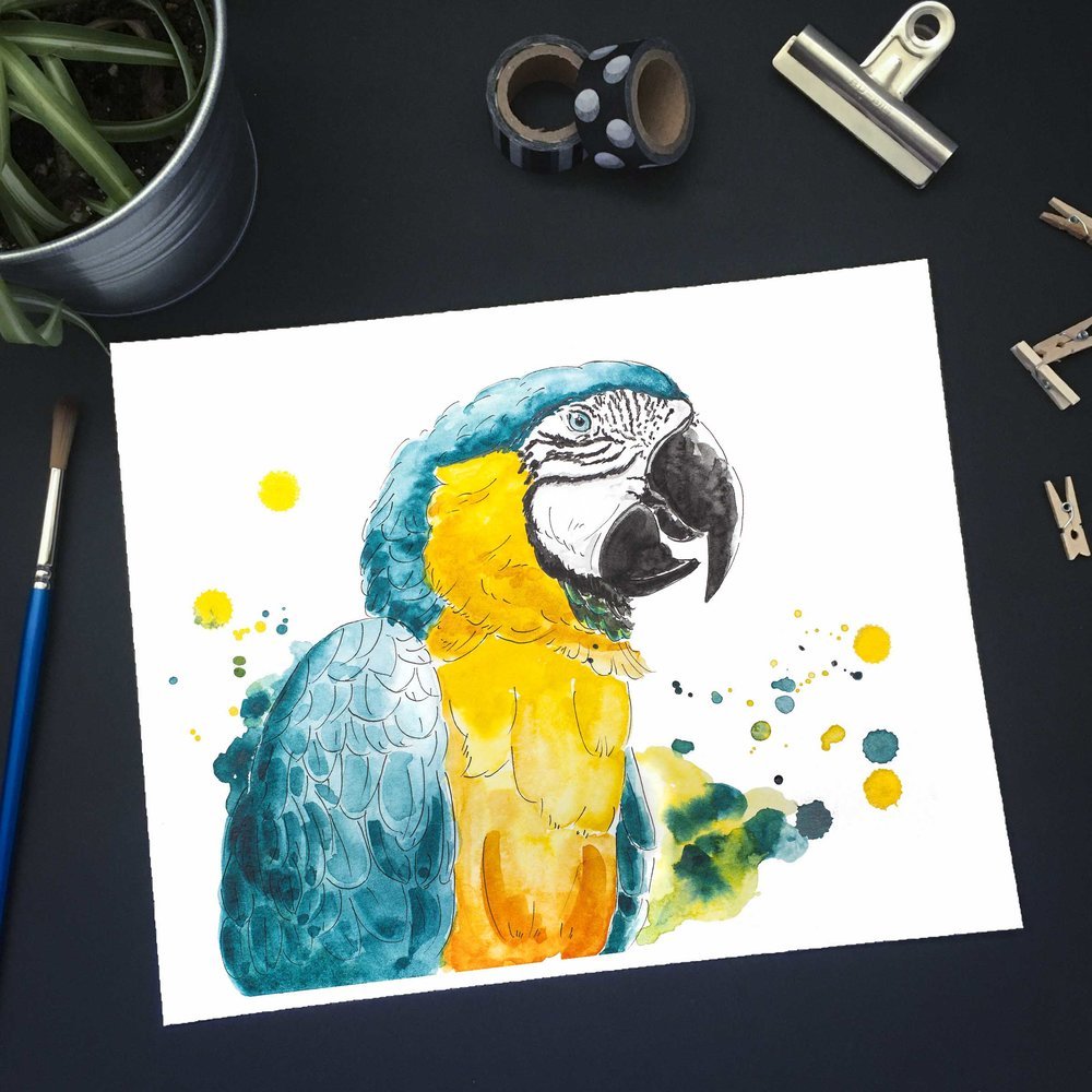 Ara Parrot Watercolor Painting — Pop Pigments