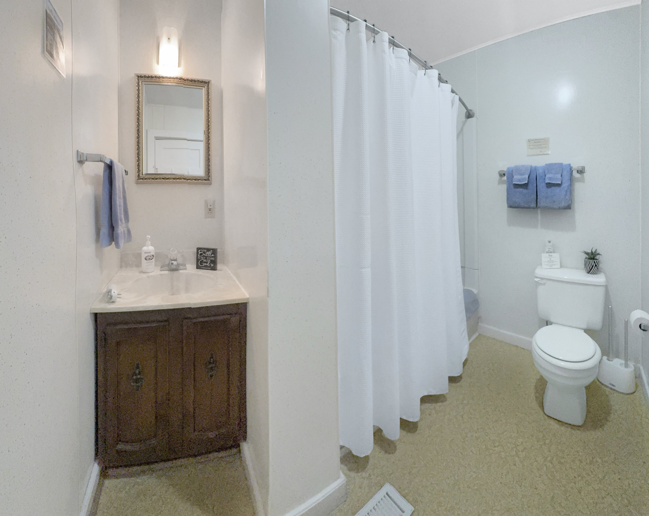 Cabin 352_Final Edit Bathroom.jpg