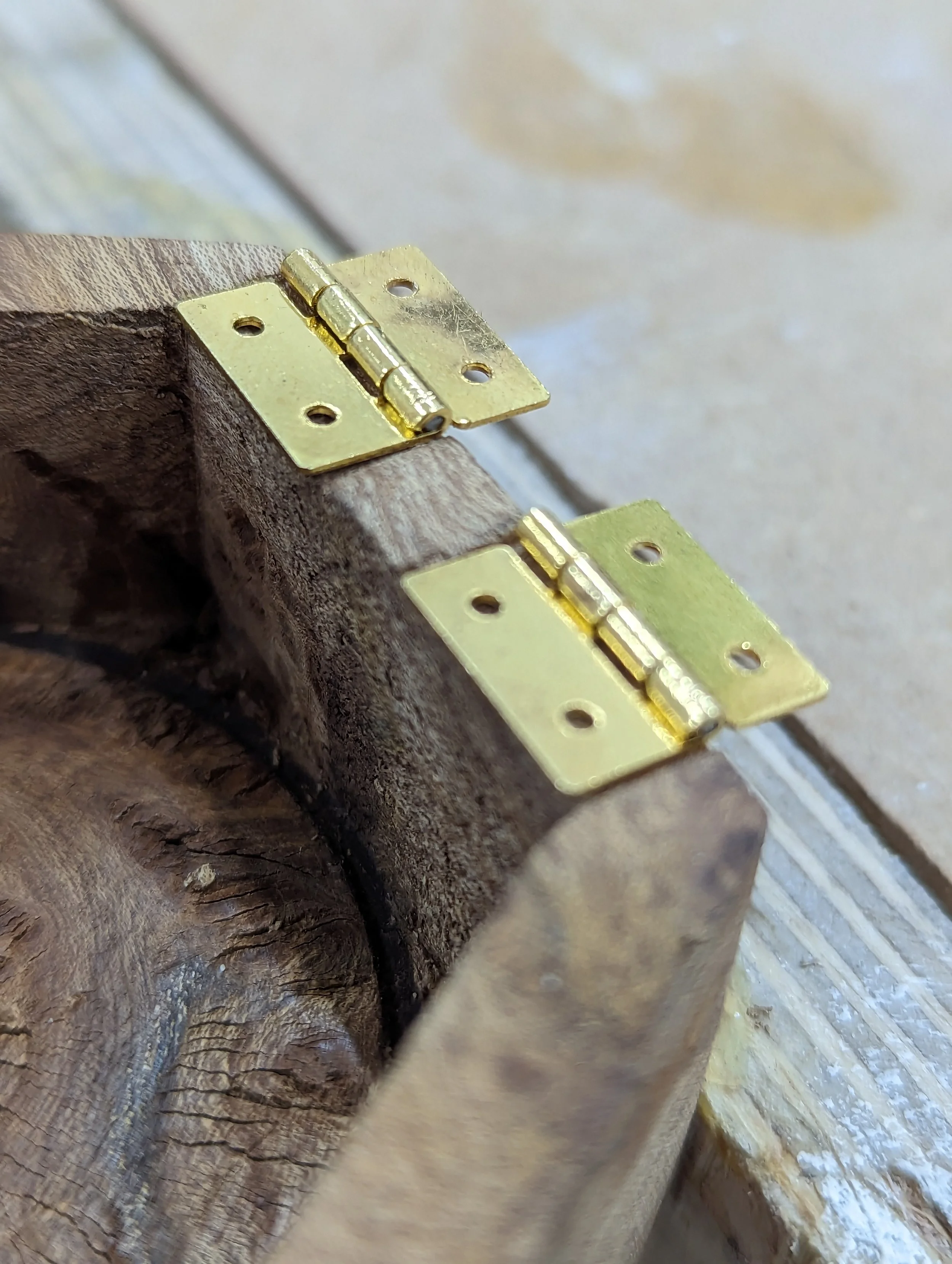 PXL_20230321_141810511 - Copy.jpg