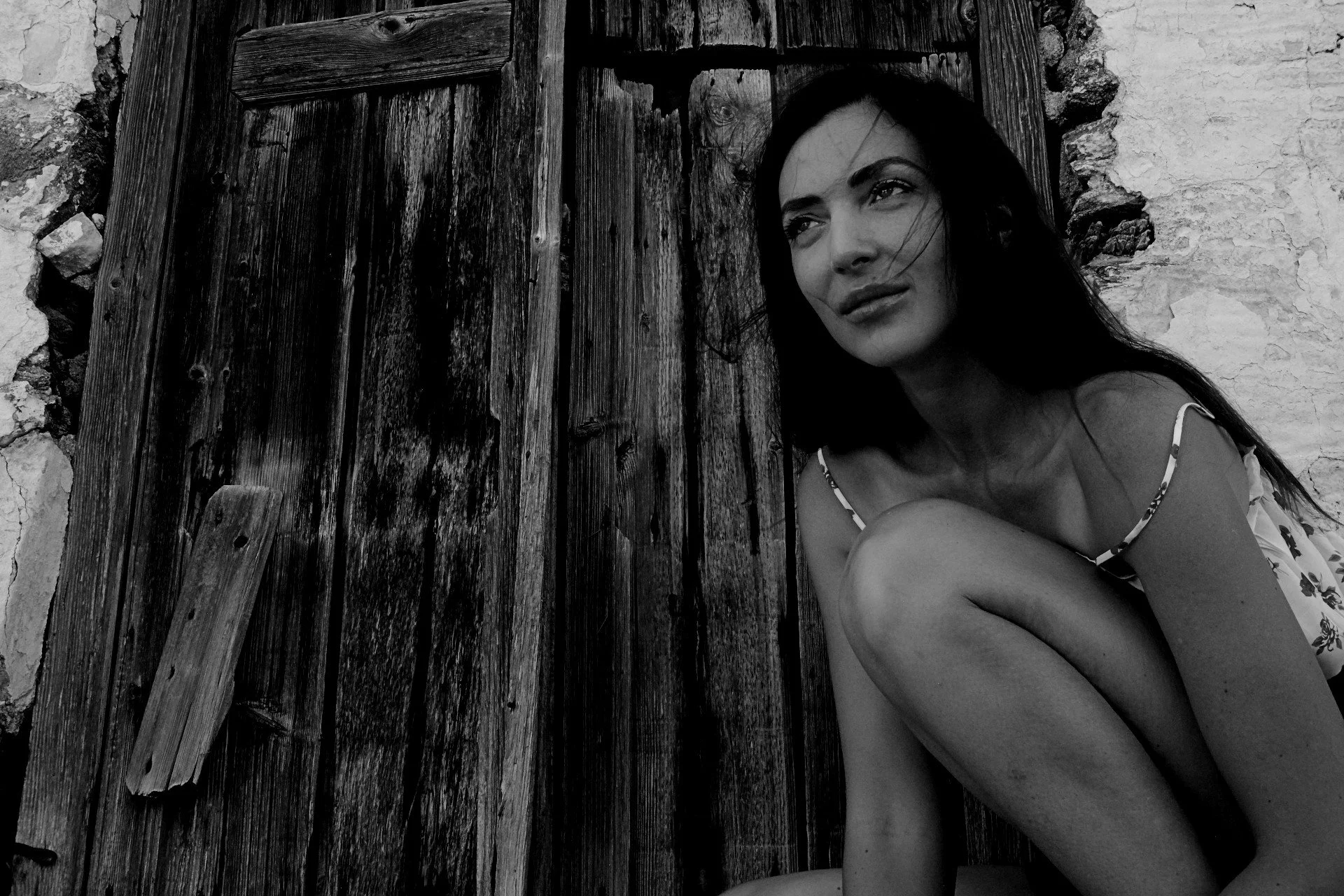 © 2024 Petti Fotografia