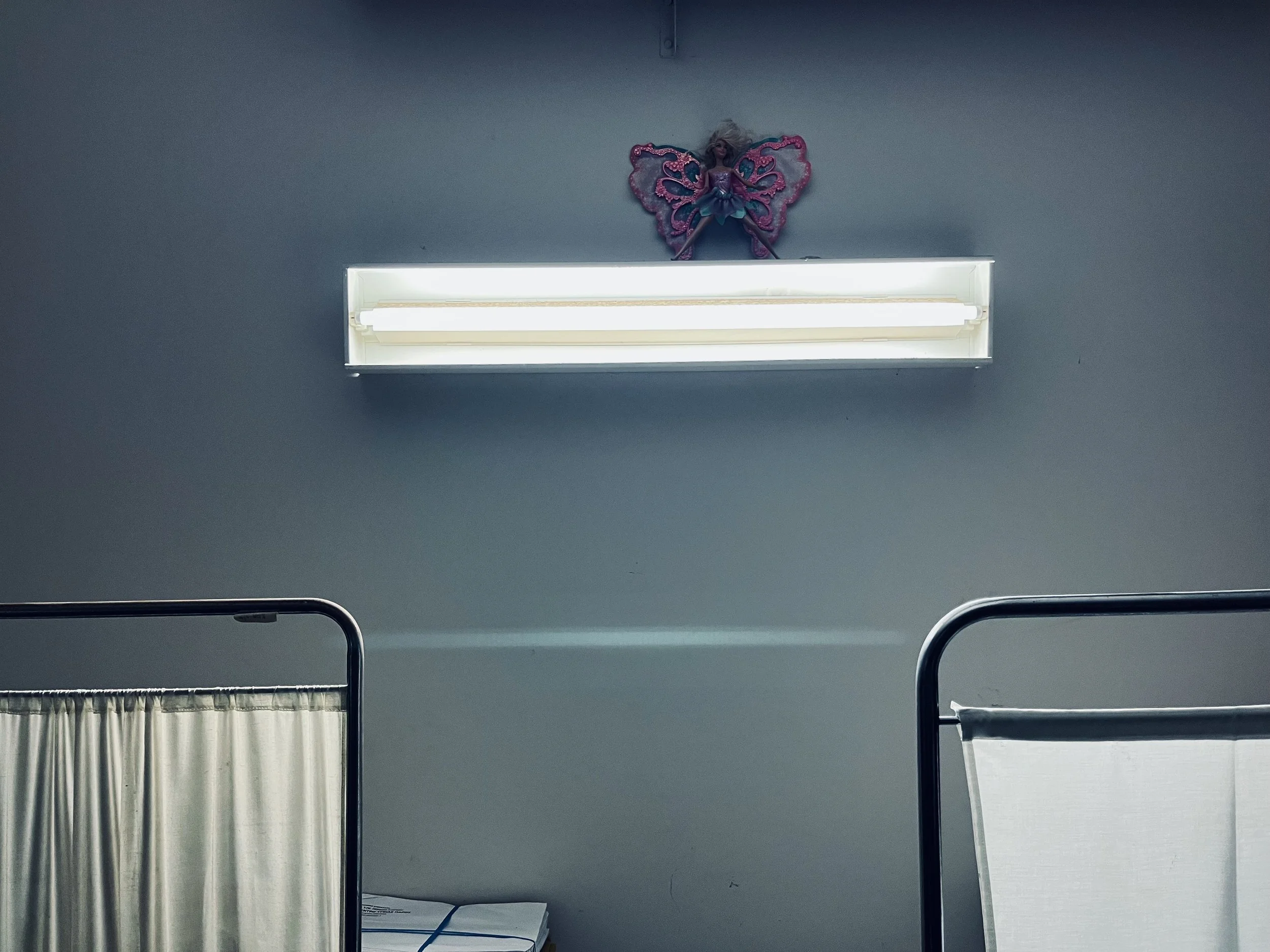 © 2024 Petti Fotografia-The escape