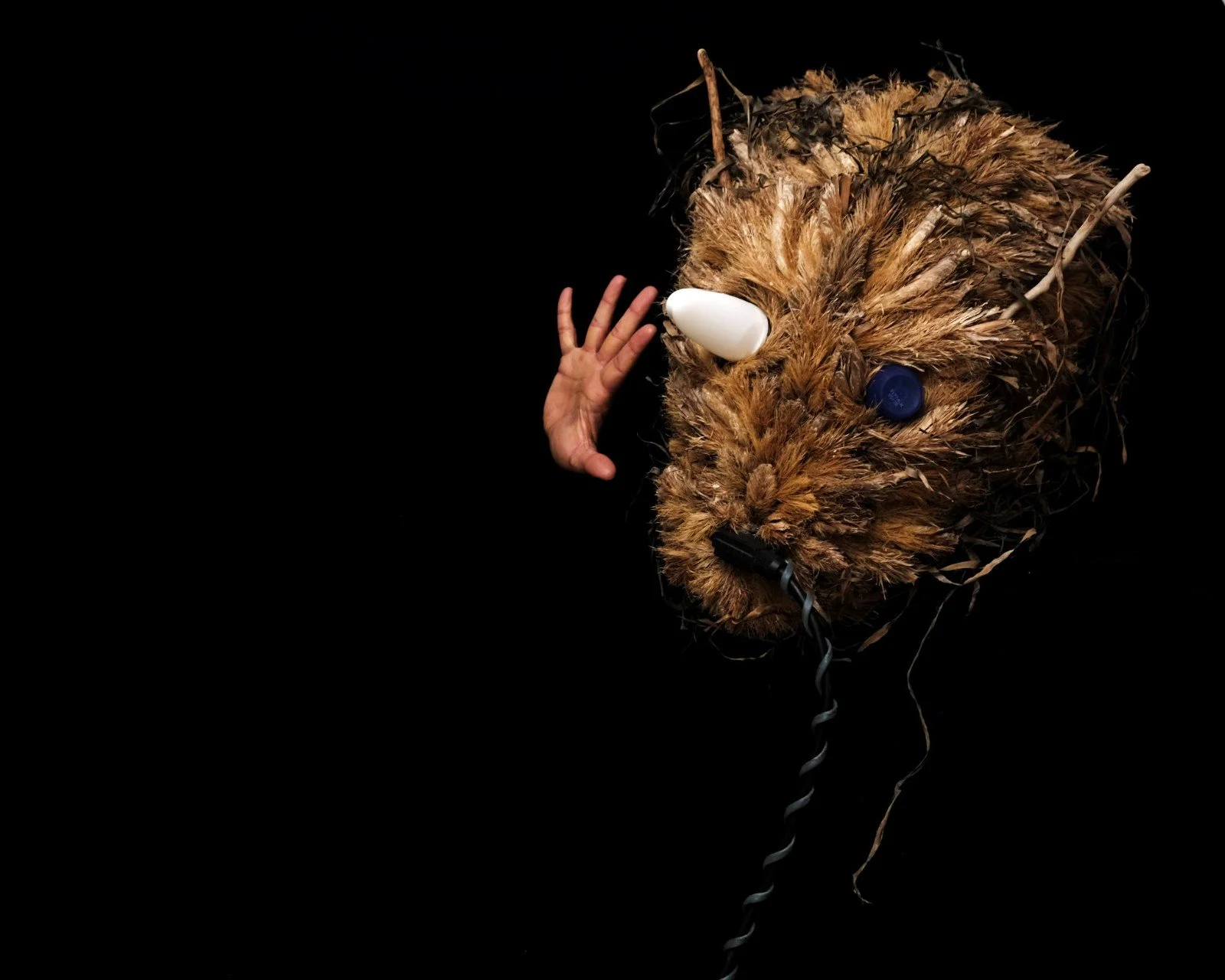 © 2024 Petti Fotografia-art photography