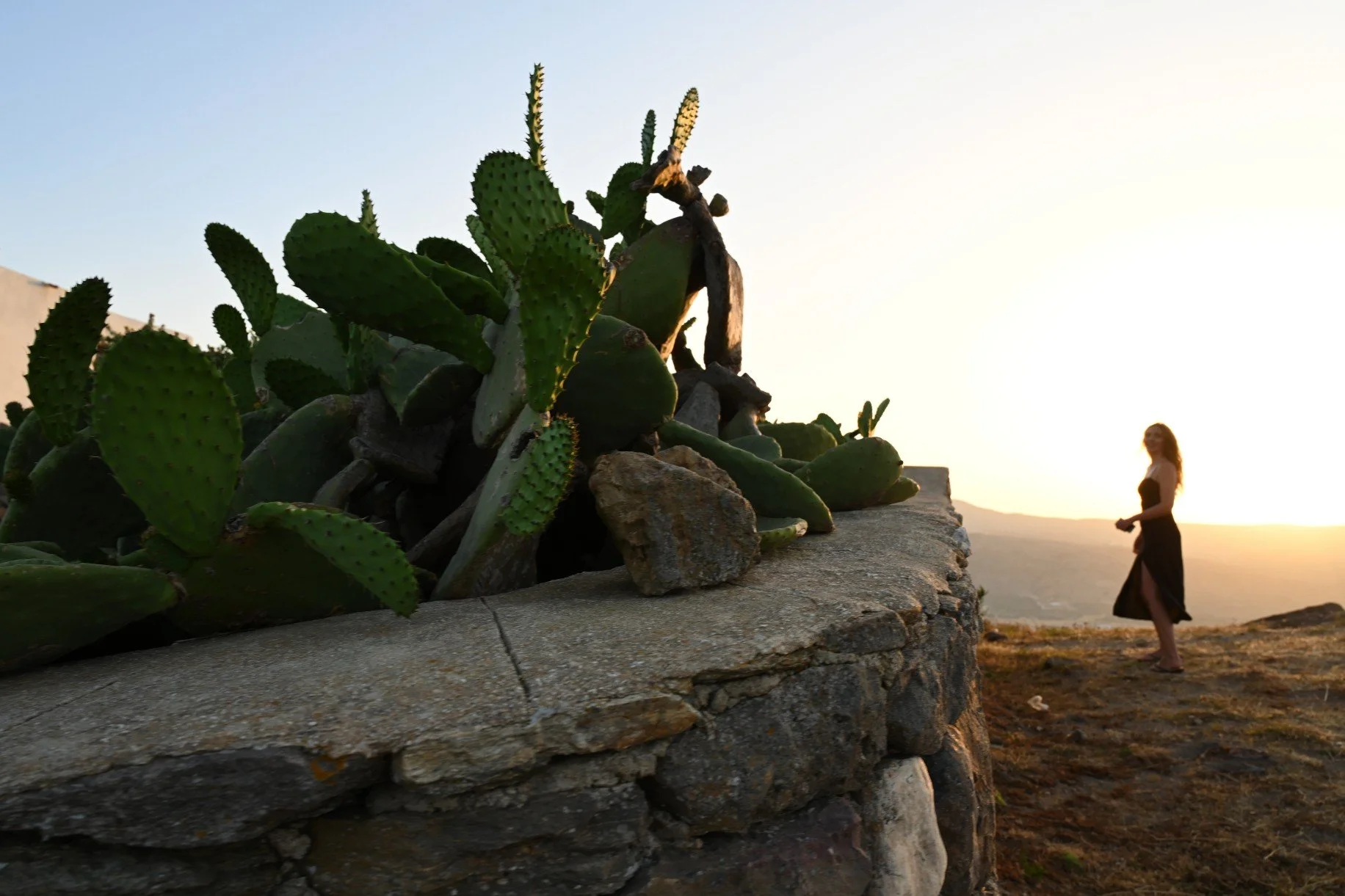 © 2024 Petti Fotografia