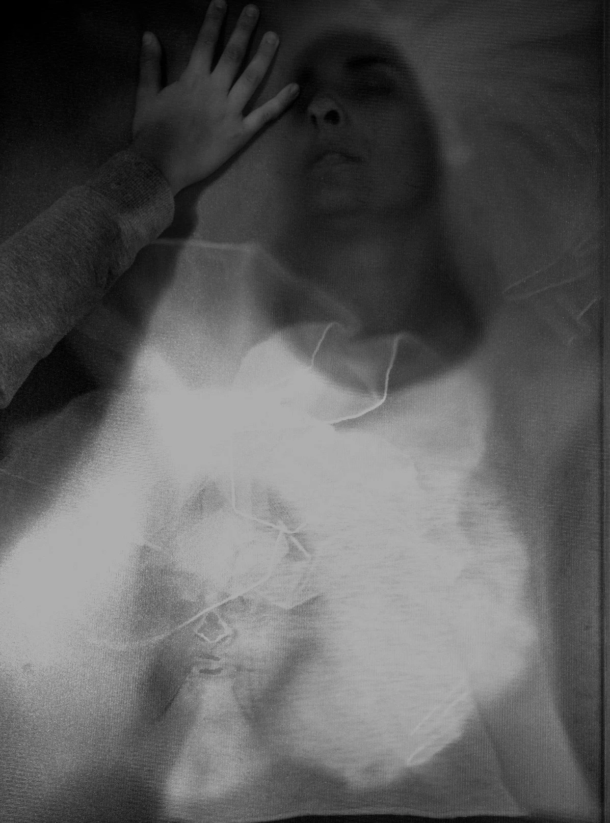 © 2024 Petti Fotografia-Art Photography